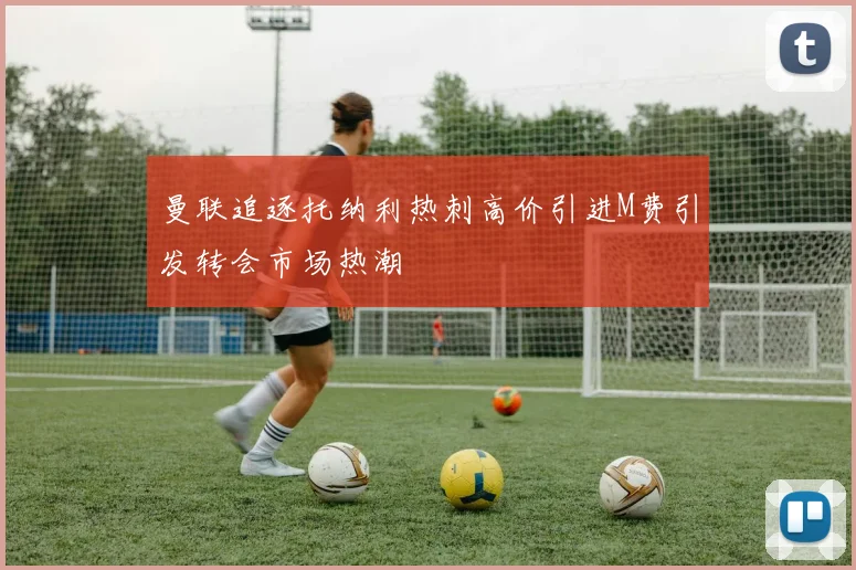 曼联追逐托纳利热刺高价引进M费引发转会市场热潮